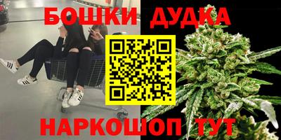 a pvp Баксан