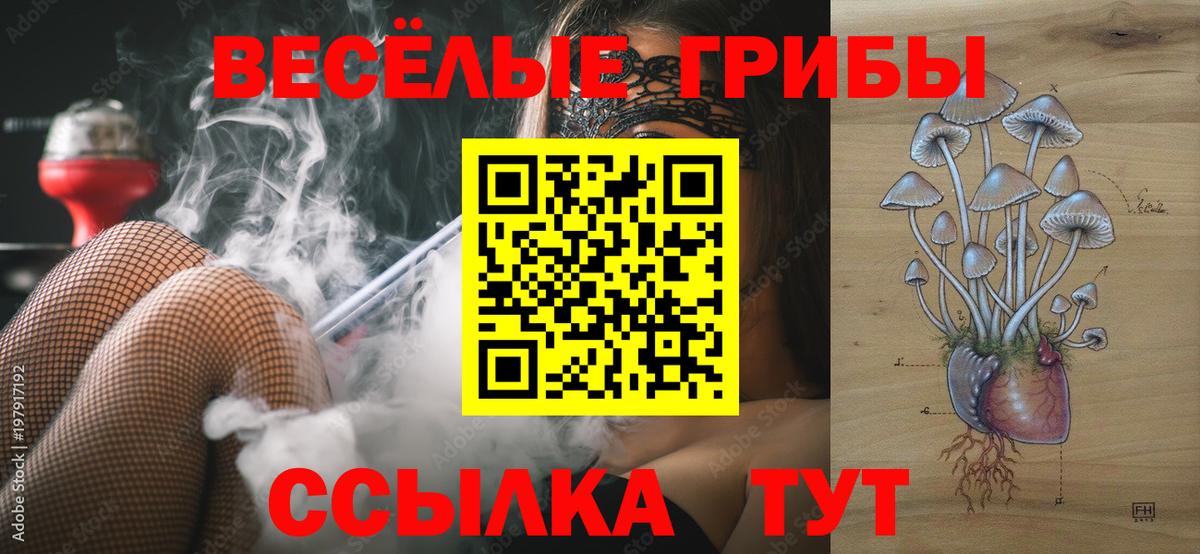 дарнет шоп  Псилоцибиновые грибы мицелий  Азов  Вход с VPN  Псилоцибиновые грибы GOLDEN TEACHER 